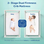 Matelas de lit de bébé et de tout-petit Sealy Cotton Cozy Rest 2 étapes : hypoallergénique, housse imperméable, sensation de fermeté, épaisseur de 14 cm