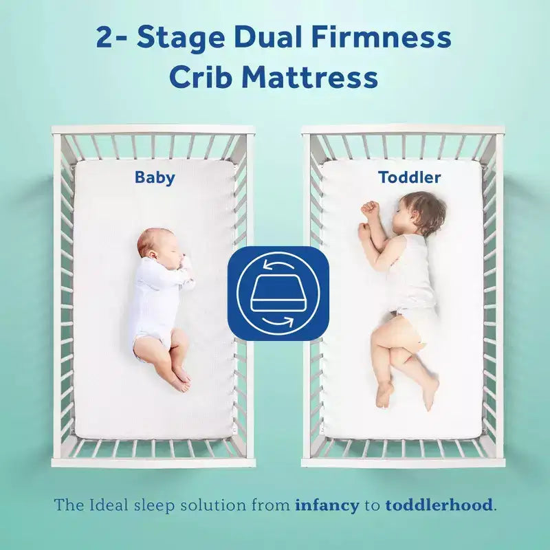 Matelas de lit de bébé et de tout-petit Sealy Cotton Cozy Rest 2 étapes : hypoallergénique, housse imperméable, sensation de fermeté, épaisseur de 14 cm