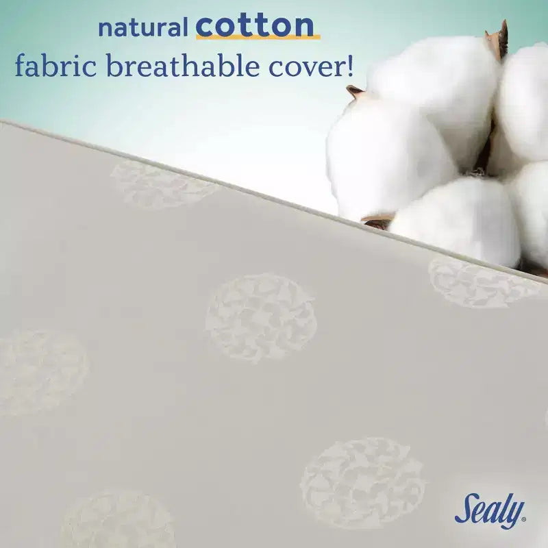 Matelas de lit de bébé et de tout-petit Sealy Cotton Cozy Rest 2 étapes : hypoallergénique, housse imperméable, sensation de fermeté, épaisseur de 14 cm