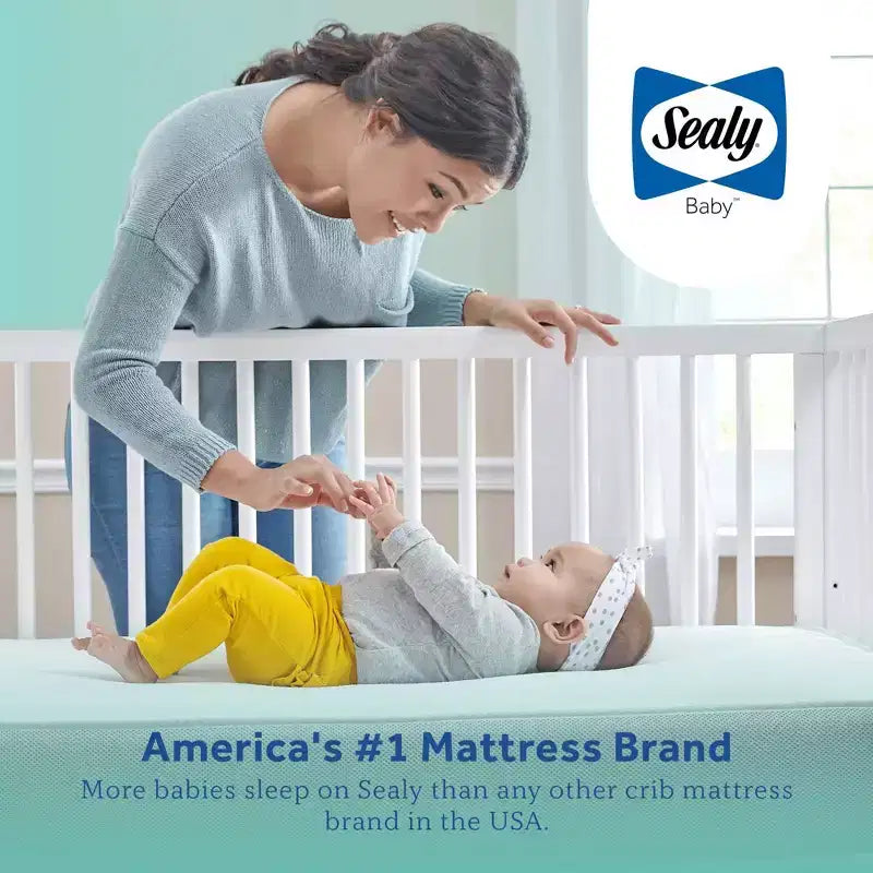 Matelas de lit de bébé et de tout-petit Sealy Cotton Cozy Rest 2 étapes : hypoallergénique, housse imperméable, sensation de fermeté, épaisseur de 14 cm
