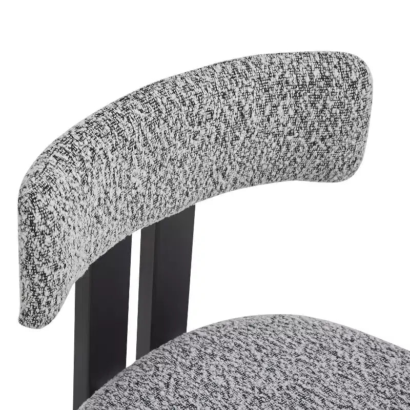 Chaises de salle à manger rembourrées Christopher Knight Home Astura à cadre en fer (lot de 2)