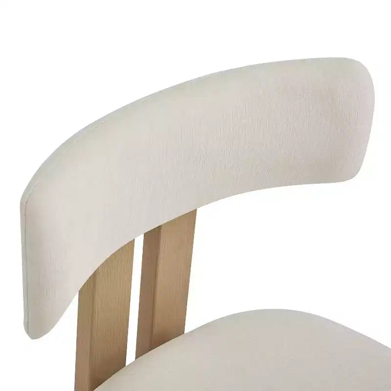 Chaises de salle à manger rembourrées Christopher Knight Home Astura à cadre en fer (lot de 2)