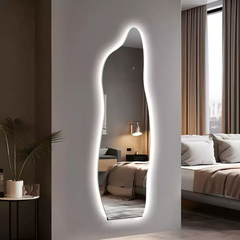 PexFix Miroir irrégulier pleine longueur de 24 po L x 63 po H en argent
