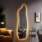 PexFix Miroir irrégulier pleine longueur de 24 po L x 63 po H en argent