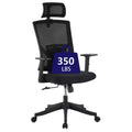 COZONY High-Back Office Chair with Adjustable Lumbar Support, Mesh Desk Chair with Flip-Up Armrests for Home or Office