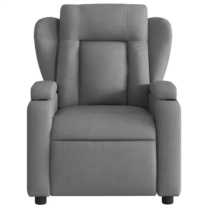 vidaXL Fauteuil inclinable Polyester, Métal, Contreplaqué Simple