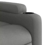 vidaXL Fauteuil inclinable Polyester, Métal, Contreplaqué Simple
