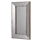 Miroir mural rectangulaire traditionnel ou plateau décoratif de 16,5 x 24 pouces