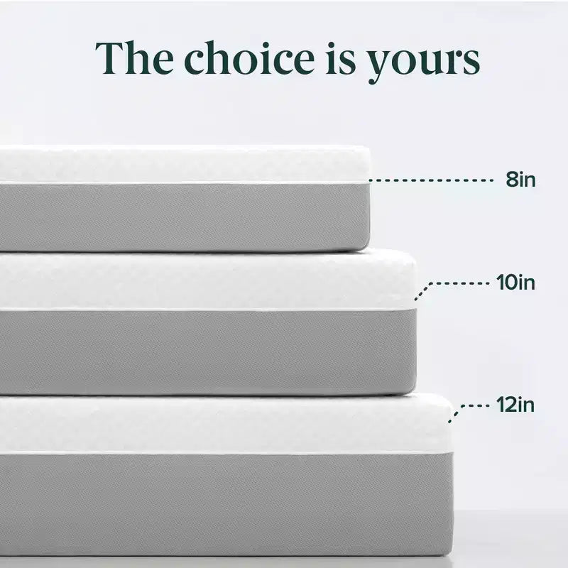 Zinus Matelas en mousse à mémoire de forme au thé vert, 25,4 cm, taille Queen, sensation moyenne, mousse à mémoire de forme respirante, mousses et tissu certifiés sûrs, matelas en boîte