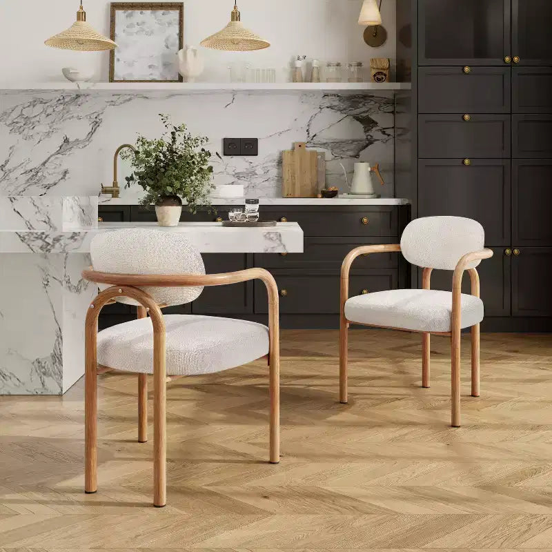 Christopher Knight Home Sumin Modern Metal Upholstered Dining Chairs with Backrest (Set of 2)