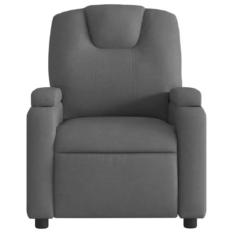 Fauteuil inclinable vidaXL 100 % polyester, métal, contreplaqué simple
