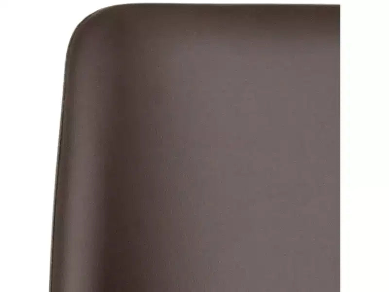Chaises d'appoint Baltic 18 H (lot de 2) - FOX2012 - Safavieh Couture